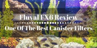 Fluval FX6 Review