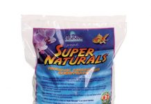 Best Aquarium Sand