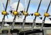 Best Baitcasting Reels