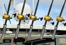 Best Baitcasting Reels