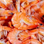 freshwater-shrimp-to-eat