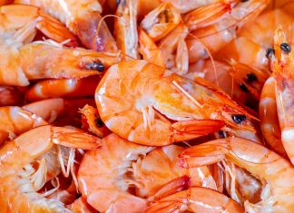 freshwater-shrimp-to-eat