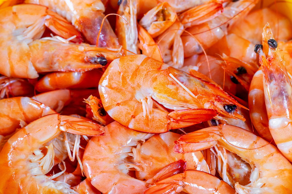 What Do Freshwater Shrimps Eat? Find Out The Best Food! - Stories Of Water