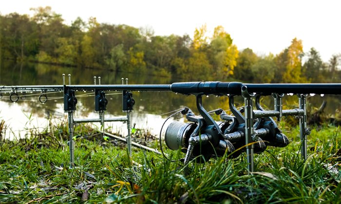 The Complete Foolproof Guide On How To Catch Carp - Stories Of Water