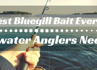 Best Bluegill Bait