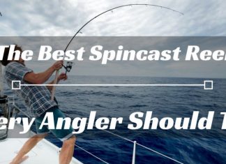 Best Spincast Reel