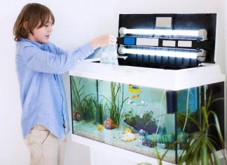 How To Make An Air Pump For Your Aquarium Aquarium