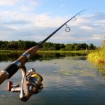 When Is the Best Time to Go Fishing in 2026? 11 Proven Factors That Can Help You Catch More Fish